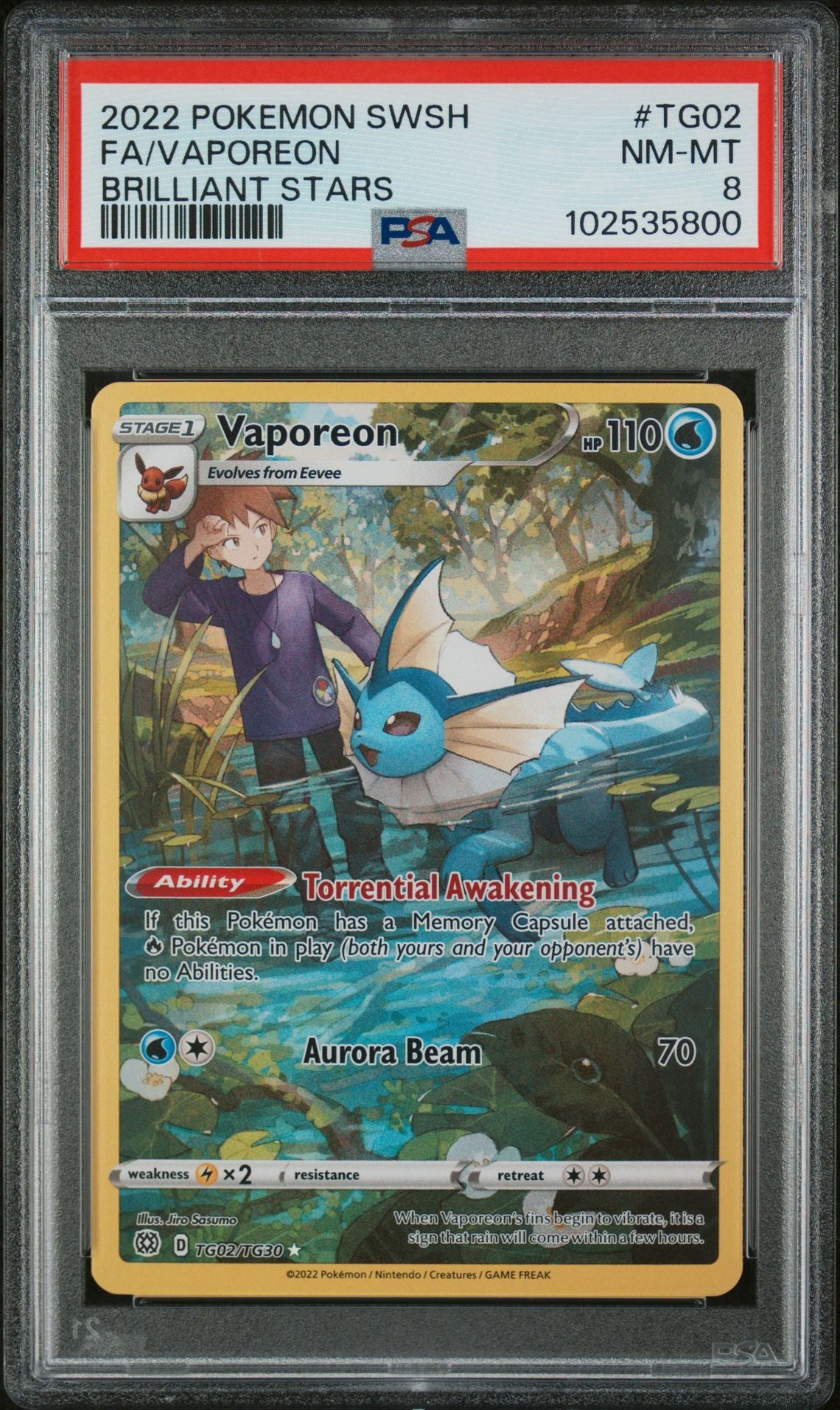 PRE ORDER Mystery Slab Collection Hanger Box Series 1 - Eeveelutions HIT chance 5 PACKS + SLAB